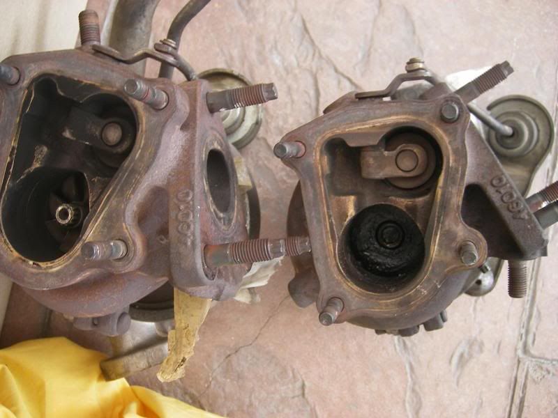 p969225_1.jpg
