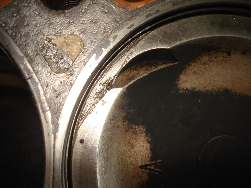 p971928_2.jpg