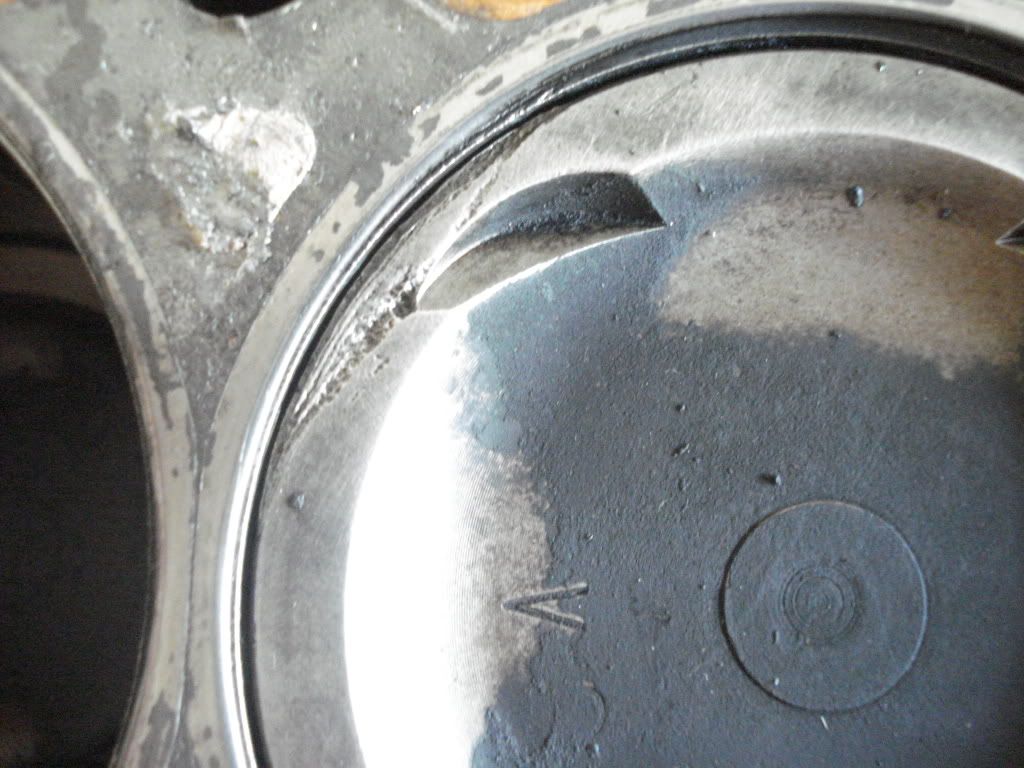 p971928_3.jpg
