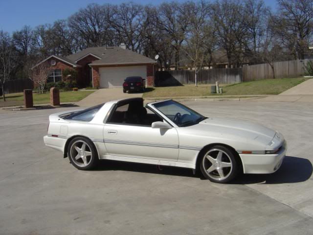 p972954_2.jpg