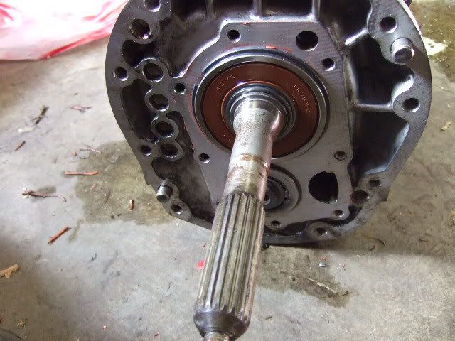 p975076_1.jpg