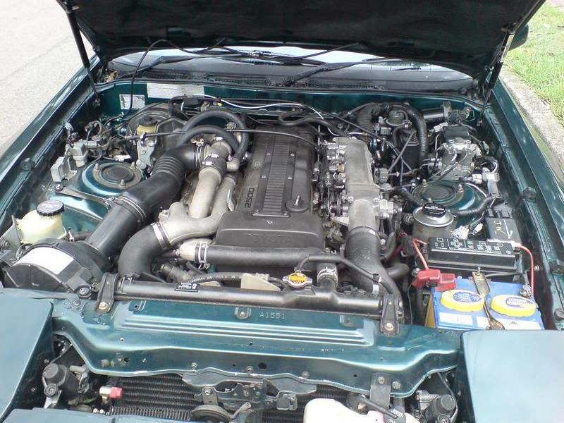 p975925_1.jpg