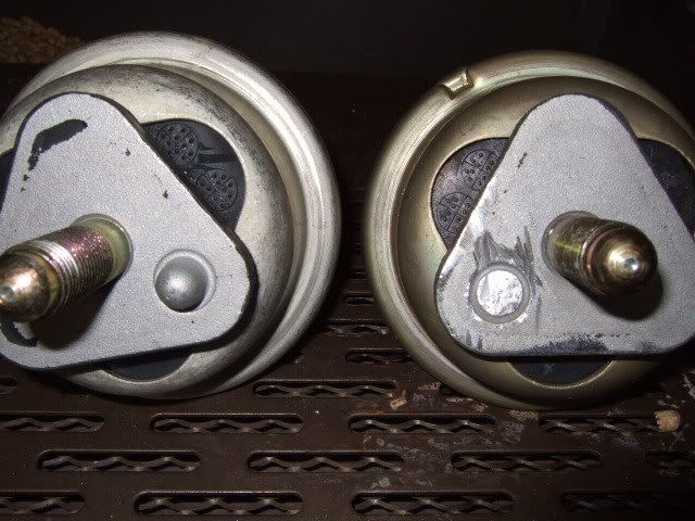 p977829_1.jpg