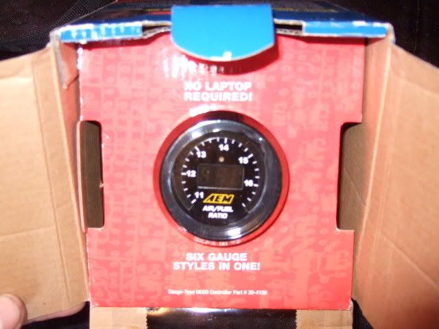 p977829_2.jpg