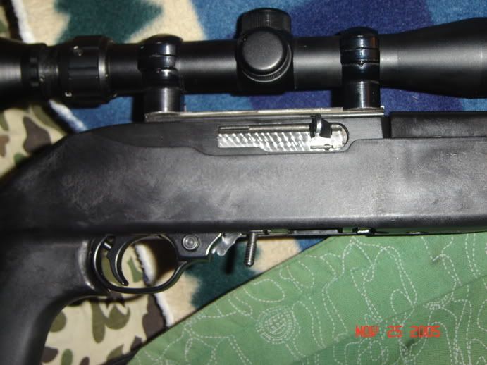 p979603_1.jpg