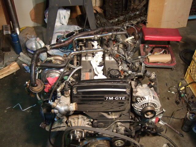 p979826_2.jpg