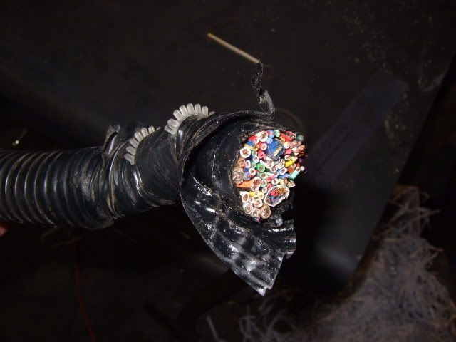p979826_4.jpg