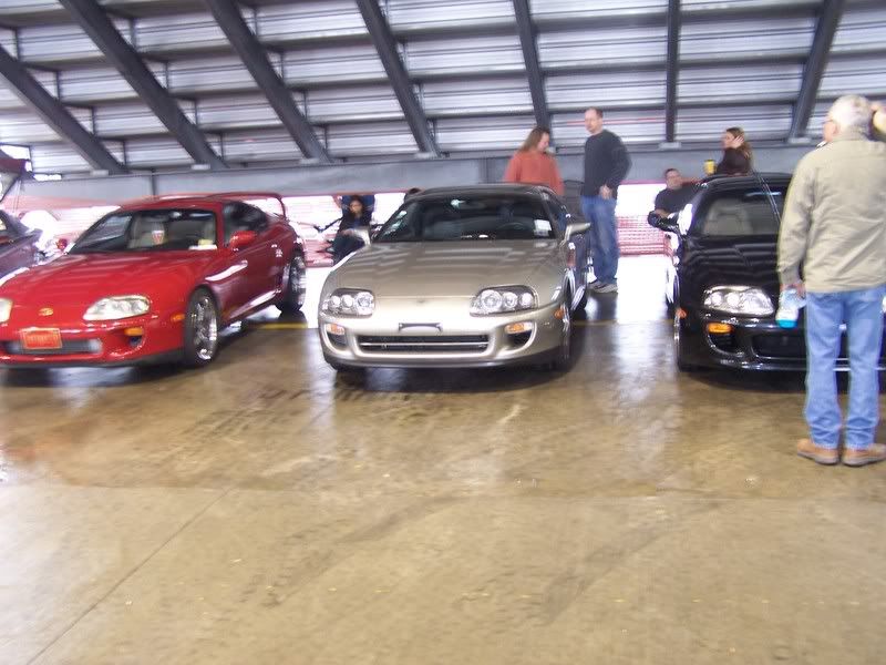 p982903_1.jpg