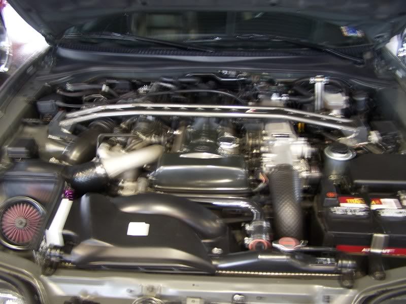 p982903_2.jpg