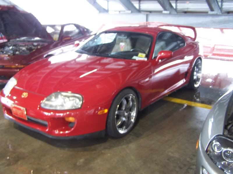 p982903_8.jpg