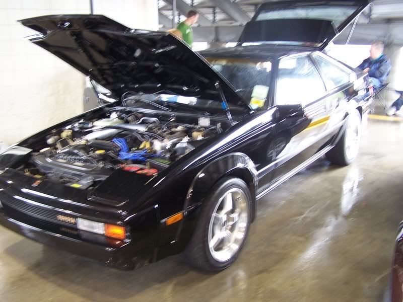 p982903_9.jpg