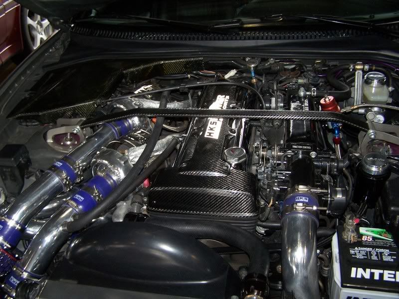 p982906_1.jpg
