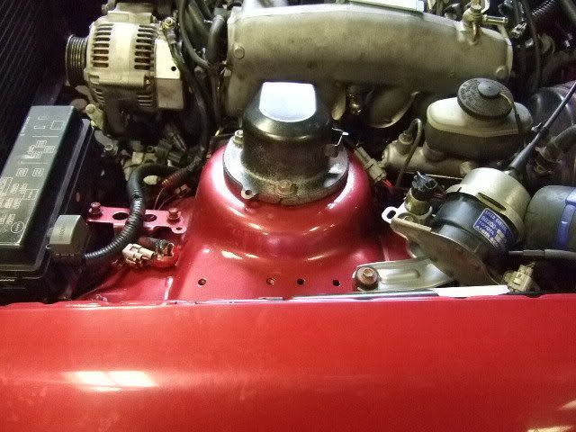 p986678_11.jpg