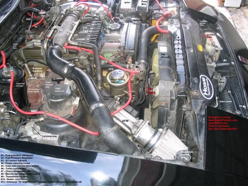 p999991_2.jpg